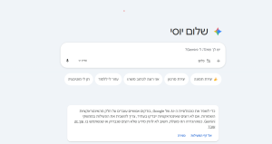 הממשק הראשי של Gemini: כך זה נראה
